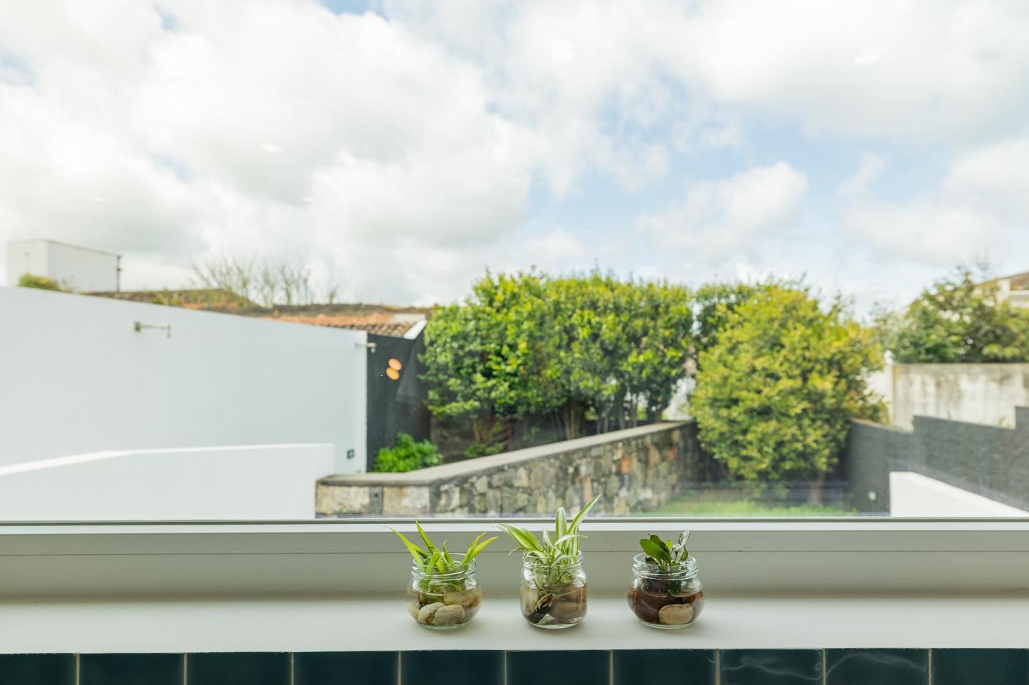 Xª Deluxe Apartments Ribeira Grande Zewnętrze zdjęcie